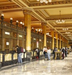 Emprendedor analizando las ventajas de vender en el marketplace Correos para aumentar la rentabilidad de su tienda online.
