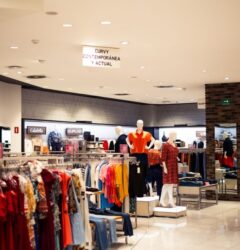 Pantalla de Perplexity Shopping mostrando recomendaciones de productos con inteligencia artificial para marcas de comercio electrónico que buscan vender más.